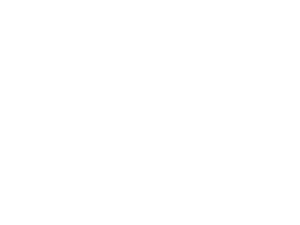 Taurus & Leo